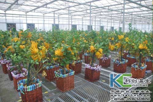 玻璃鋼冷卻塔選型要求和注意點,玻璃鋼冷卻塔廠家