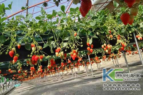 玻璃鋼冷卻塔填料的全面介紹,玻璃鋼冷卻塔填料規格